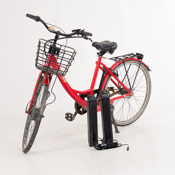 ELCYKEL, Eco Ride, Ambassador, 2000-tal