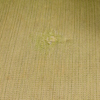 57905c_8ddd5027582c96e_sm.jpeg