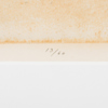 58170c_8ddd5bf95d066ef_sm.jpeg