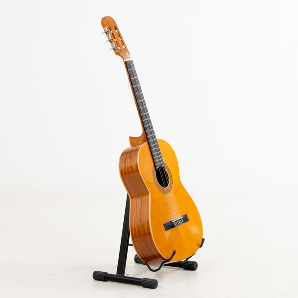 GITARR, "Husets gitarr, modell T-3", 1900-talets andra hälft 