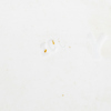58824d_8dddfc3dda23f21_sm.jpeg