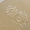 TAKPLAFOND, glas och mässing, 1930-/40-tal