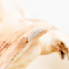 59424d_8dde6d073fd0f75_sm.jpeg