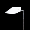 GOLVLAMPA, Aneta, 1900-talets slut