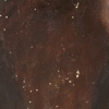 OIDENTIFIERAD KONSTNÄR, olja på duk, otydligt signerad och daterad 1903