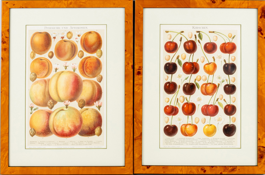 GRAFISKA BLAD, 2 st, ur Meyers Konversations-Lexikon, Leipzig