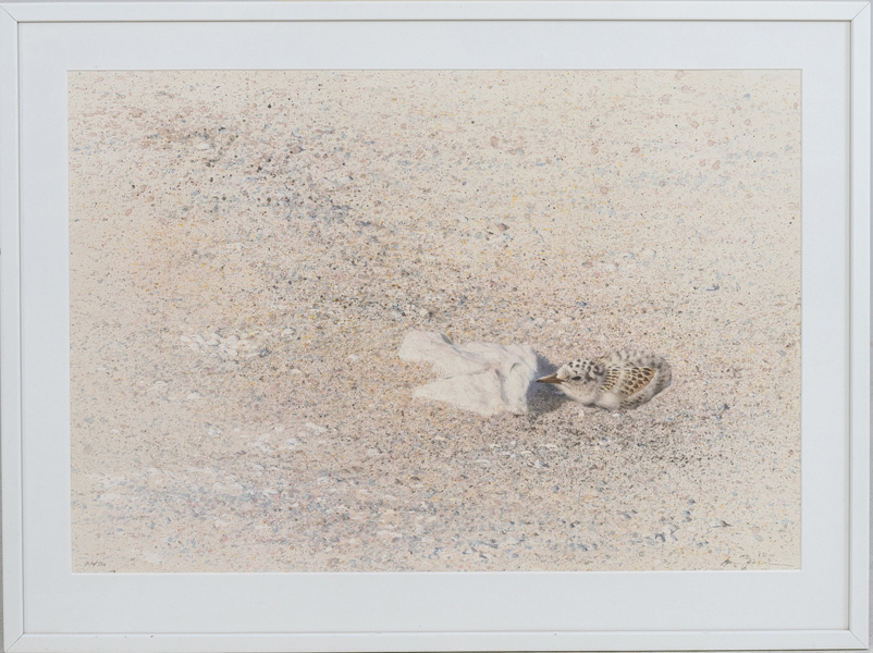 LARS JONSSON (född 1952), färglitografi, signerad och numrerad 206/220