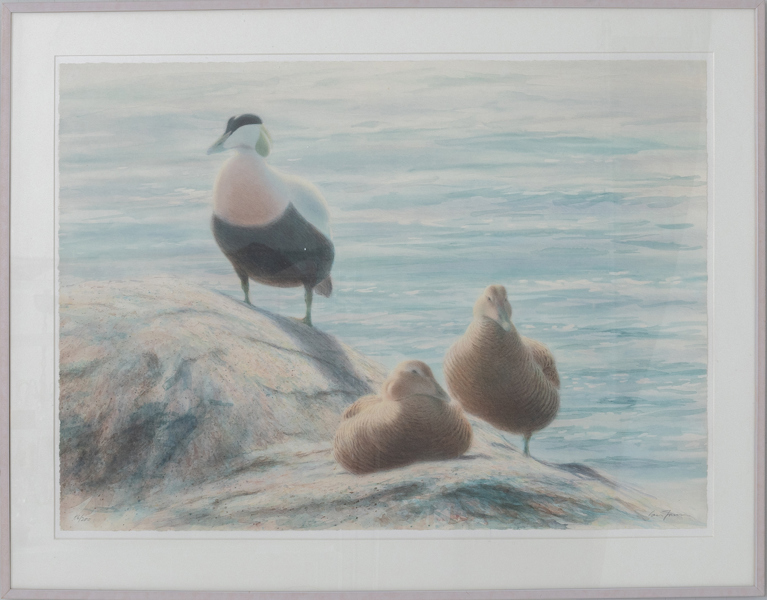 LARS JONSSON (född 1952), färglitografi, signerad och numrerad 86/200