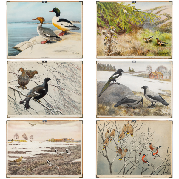 SKOLPLANSCHER, 6 st, efter Nils Tirén, 1900-talets mitt