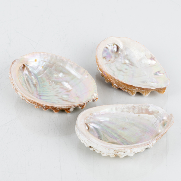 SNÄCKOR, 3 st, 1900-tal