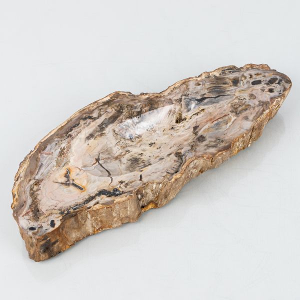 SKÅLFAT, sk förstenat trä, sannolikt Sydamerika