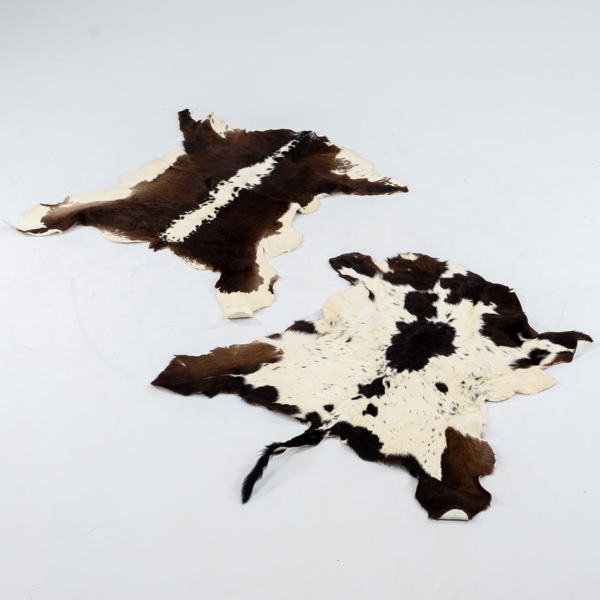 KOHUDAR, 2 st, 1900-/2000-tal