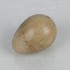 HANS HEDBERG (1917-2007), ägg, Biot, Frankrike, starkeldsfajans, signerad