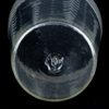 VAS, glas, 1900-tal, med etsad dekor av fåglar