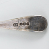 KAFFESKEDAR, 6 st, silver, Sheffield, England 1931
