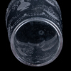 VAS, glas, Orrefors, signerad