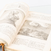 BOK, "Biblia Heliga Skrift", Norrköping, Åftlund & Berlings förlag 1851