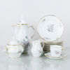 KAFFESERVIS, 21 del, porslin, "Sanssouci", Rosenthal, 1900-talets mitt