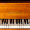 JULIUS BLÜTHNER, flygel, mahogny, Aliquot, 129356, Leipzig, Tyskland, 1900-talets första hälft