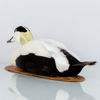 VETTAR, 2 st, taxidermi, ejdrar, 1900-tal