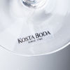 CHAMPAGNEGLAS, 5 st, glas, Orrefors och Kosta Boda