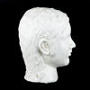 SKULPTUR, gips, 1900-tal