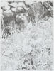 HENRY GUSTAFSSON (1943-2005), 3 st, litografier, signerade och numrerade 65/80, 37/150 samt 60/80